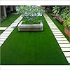 All Season bermuda celebration grass seeds/Lawn grass seeds Pack of 4000