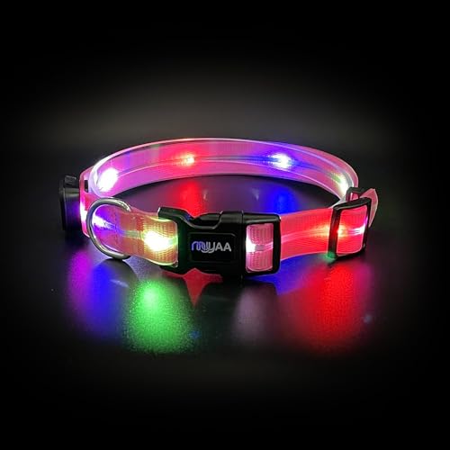 Light up Dog Collars, LED Dog Collar, Lighted Safety Collar for Walking at Night for Small Medium, Large Dogs (Cute Pink)