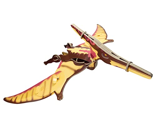Build Your Own Bauen Sie Ihren eigenen Pteranodon – Familien ab 8 Jahren – Umweltfreundliches Bastelspielzeug aus Karton