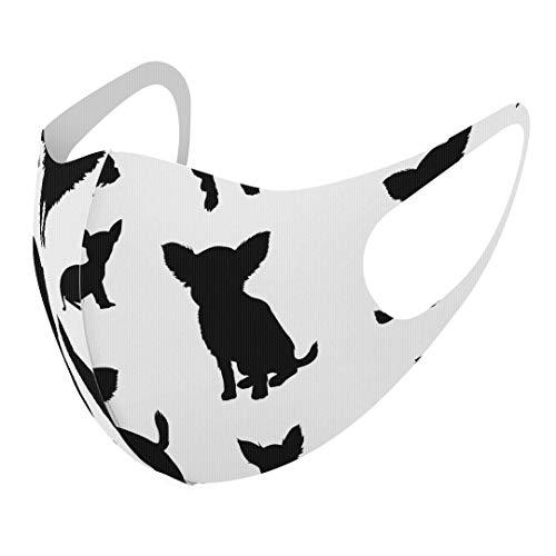 [X}R] fUC }XN QZbg |GXe 􂦂 z}XN XLTCY 傫 jp 013561  e VGbg