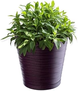 KADAX Plastic Flowerpot, Indoor Plant Pot with Saucer, Lightweight Flower Pot in Several Colours and Sizes, Unique Planter for Houseplants (17 cm, White)