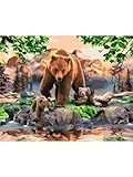 💙Home Art Decor & Gifts :La peinture à l'huile numérique est un art de bricolage très populaire, adapté à la décoration de la maison et de l'espace de bureau (salle à manger, salon, chambre à coucher, bureau, café, etc.) décoration. Qu'il s'agisse de la garder pour soi ou de l'offrir à d'autres, elle a une signification et une valeur très particulières.