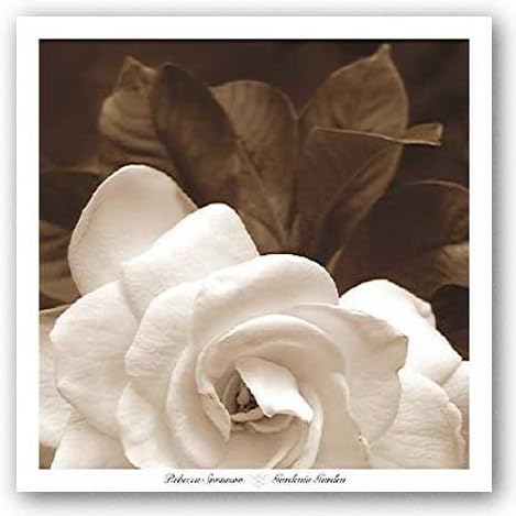 Image Conscious Gardenia Garden Art Print by Rebecca Swanson 27 x 27in