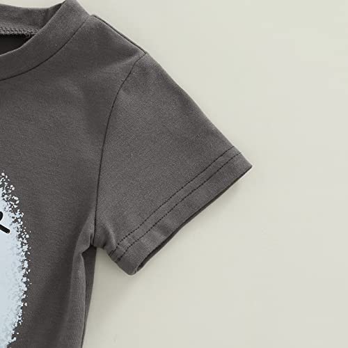 Conjunto de duas peças de camiseta infantil de manga curta e calça rodada, roupa de verão para menin