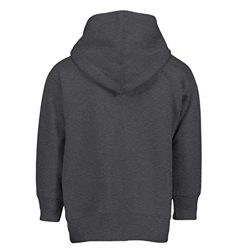 Haase Unlimited Colorado - Sports State City School Toddler/Youth Fleece Hoodie3