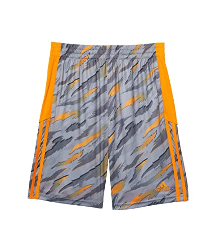 adidas boys Tiger Camo Shorts (Big Kids)