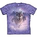 The Mountain Men's Northern Lights, Purple, XL