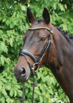 Hans Melzer Horse Equipment Trense Hannover, schwarz/Messing, Vollblut