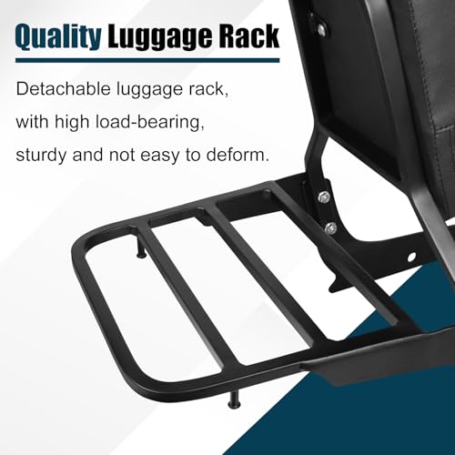 DSISIMO Passenger Backrest Sissy Bar