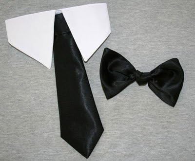 Dapper Dog Black Satin Short Tie