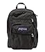 JanSport Big Student Backpack(Forge Grey, One Size)