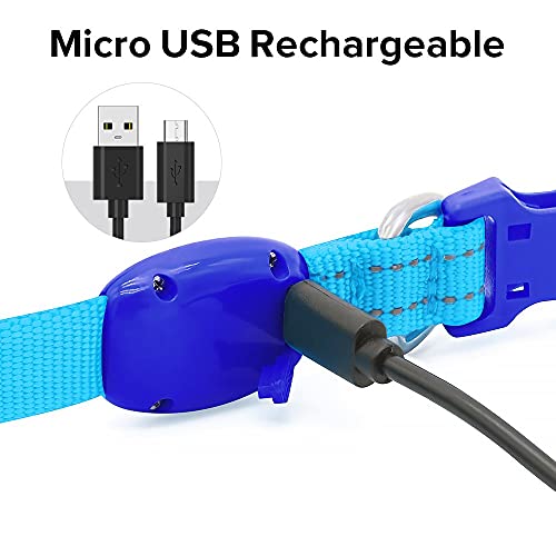 Bseen Light Up Puppy Collar - Rechargeable Led Dog Collar - Glowing Cat Collars - Reflective Lighted Dog Collar For Small Dogs& Cats (Blue, Xs) #TOP3