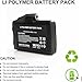 BDBDQM 7.4V 5000mAh Li-Polymer Rechargeable Battery Pack, Replacement Set for Heated Gloves, Socks, Vest, Jacket, Hand Muff with Charger (7.4V 5000mAh)