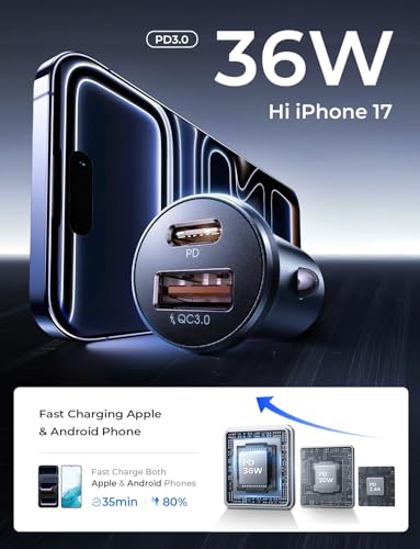 LISEN 54W Car Phone Charger USB C, Cigarette Lighter Adapter, Car Accessories for iPhone, USB C Car Charger Adapter USBC Type C 12v, for iPhone 17 Pro Max 16 15 14 13 12, Samsung Google iPad Andorid