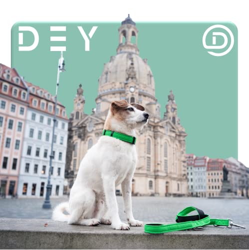 DEY - Premium Hundehalsband Air Mesh | Verstellbar | für Kleine, Mittelgroße u. Große Hunde | viele Farben u. Größen | Halsband Hund Katzen | Hunde-Halsbänder | Welpen-Halsband | Orange, S