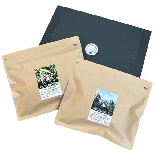 風味際立つ 手鍋 焙煎 コーヒー豆 (中米編) 200g×2袋 セット品
