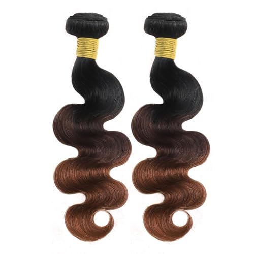 DSEKCAIN Body Wave Ombre Bundles Human Hair T1B/2/30 Chestnut Brown