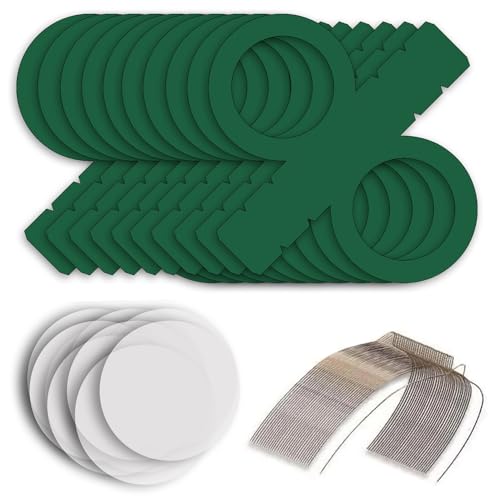 CREATIV DISCOUNT Laternen Bastelset für Grüne Laternen, 10 dunkelgrün Rohlinge, 20 runde Transparentpapierzuschnitte, 10 Laternenbügel, Ideal für 10 Martinslaternen