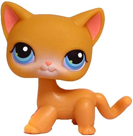 orange cat lps