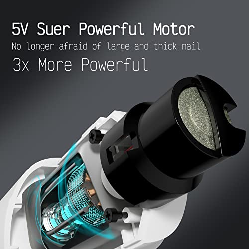 KK-Dog-Nail-Grinder-with-2-LED-Light-for-Large-Medium-Small-Dogs-Professional-2-Speed-Powerful-Electric-pet-Nail-Clipper-which-Gentle-and-Painless-Paws-Grooming-Smoothing-Tool-White 41M168L0E1L