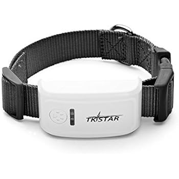 kid krazy dog tracker