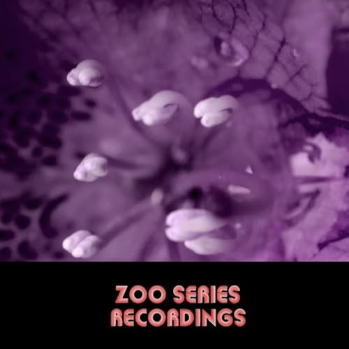 Echo Chamber VARIOUS ARTISTS Digital Music