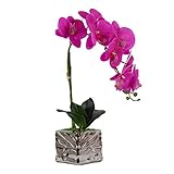 VIVILINEN Flores Artificiales Plásticos Flor de Phalaenopsis realistas Orquídea Mariposa Decoración Cálida para Hogar Dormitorio y Oficina (Púrpura)