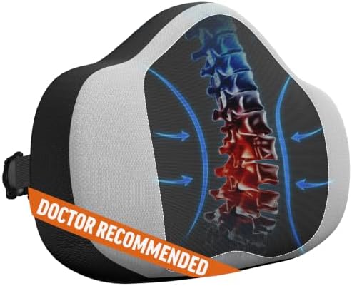 Everlasting Comfort Lower Back Lumbar Support Pillow for Office Chair, Car | Ergonomic Memory Foam Cushion for Back Support, Washable Cover, Small Lumbar Pillow with Carry Hook for Travel, Pain Relief