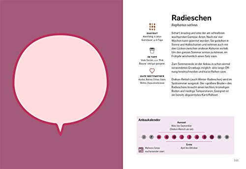 Gemüse-Know-how Gebrauchsanweisung für Gartenneulinge - 2