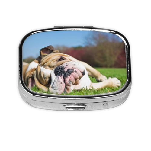 ピルケース 薬ケース 2段分割 イングリッシュ ブルドッグ 疲れた犬 芝生のペット 小型 ピルケース 長方形 薬入れ 薬箱 コンパクト サプリメントケース お薬