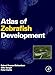 Atlas of Zebrafish Development