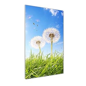 Tulup Schilderij op gehard glas- 60×120 – Schilderij Muurdecoratie – Wanddecor Kunstdruk – Modern Decoratief Beeld Gedrukt – Decoratie Poster Foto Afbeelding – Paardebloemen in de wei