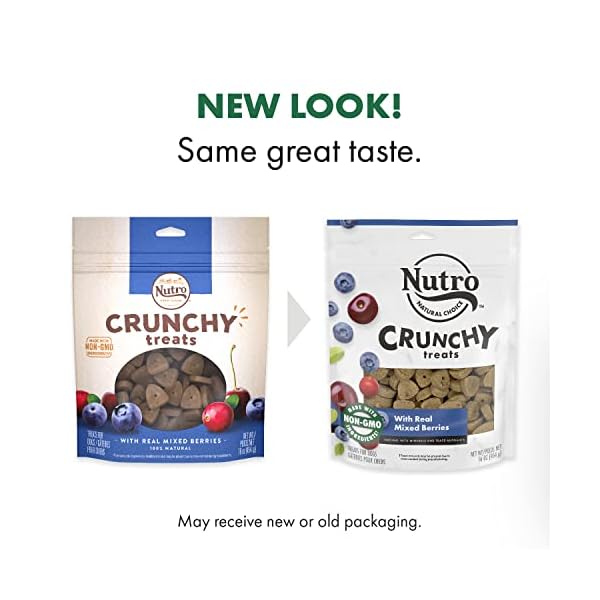 NUTRO Crunchy Dog Treats with Real Mixed Berries, 16 oz. Bag Topdogsupply