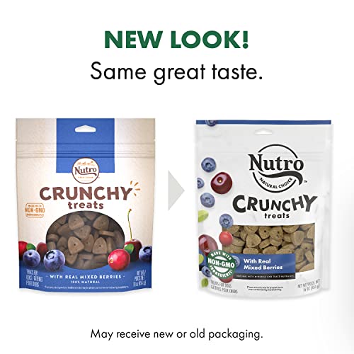 NUTRO Crunchy Dog Treats with Real Mixed Berries, 16 oz. Bag Topdogsupply