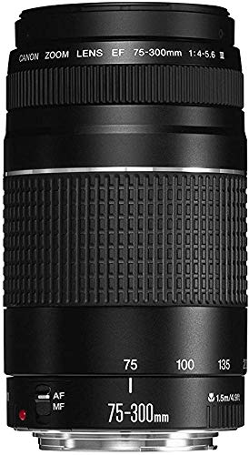 Canon EOS 2000D Rebel T7 Kit with EF-S 18-55mm f/3.5-5.6 III Lens + Canon 75-300 Lens+ Accessory Bundle +TopKnotch Deals Cloth