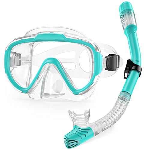 Lealinga Snorkel Set Adults Snorkel Mask Anti-Fog Panoramic View Diving Mask Dry Top Snorkel Kit with Travel Bag Diving Set for Snorkeling Scuba Diving Swimming Travel