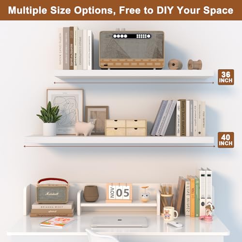 Landmok Schwebregal, 61 x 30 cm Holz-Schwebregal für die Wand, großes Wandregal mit viel Stauraum und unsichtbaren Halterungen für Wohnzimmer, Küche und Badezimmer, 1 Stück, weiß