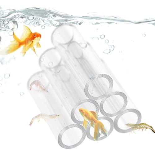 Gr̐nANA pANNX^VF^[nEX | NX^VvlXgVF^[nEXAɐB`[uBꓴABpCv