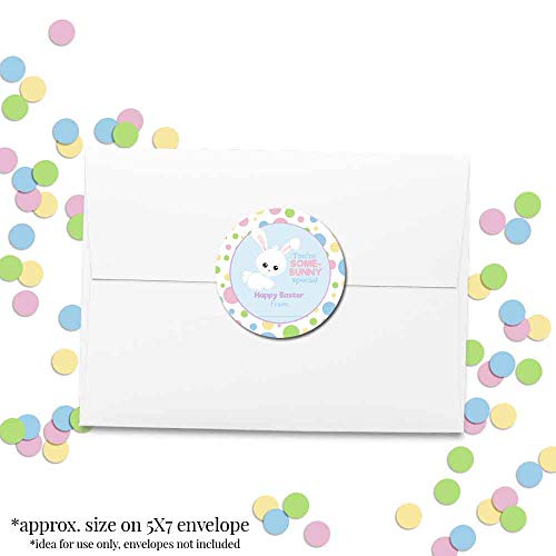 Some Bunny Special Easter Bunny Themed Gift Tag Sticker Labels For Kids, 40 2" Party Circle Stickers By Amandacreation, Great For Party Favors, Envelope Seals & Goodie Bags #TOP3