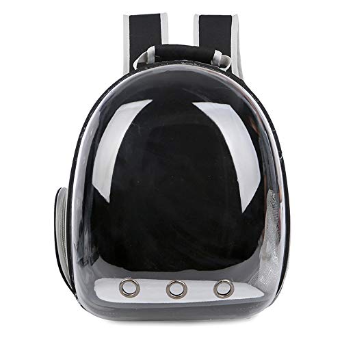 Sac à dos de voyage portable avec capsule transparente pour chat
