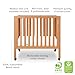 Newton Baby Galileo Mini Crib Solid Beech Wood with Wheels in Chestnut Color, Mini Crib Mattress Included, Adjustable Mattress Height, Ultra-Safe Non-Toxic Finish
