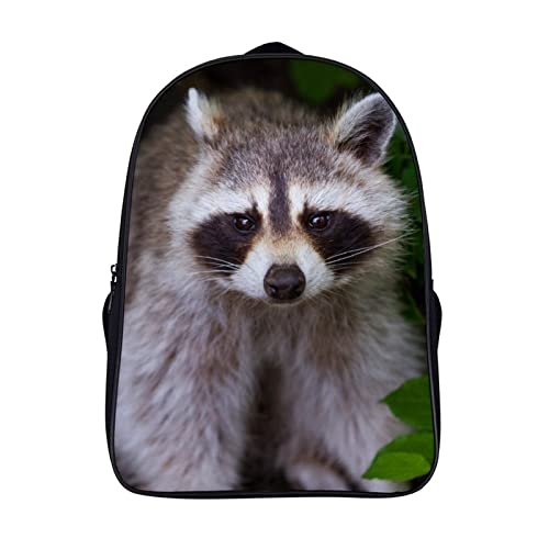 Sac à dos d'école raccoon pour les sorties en famille et les journées de classe dynamiques