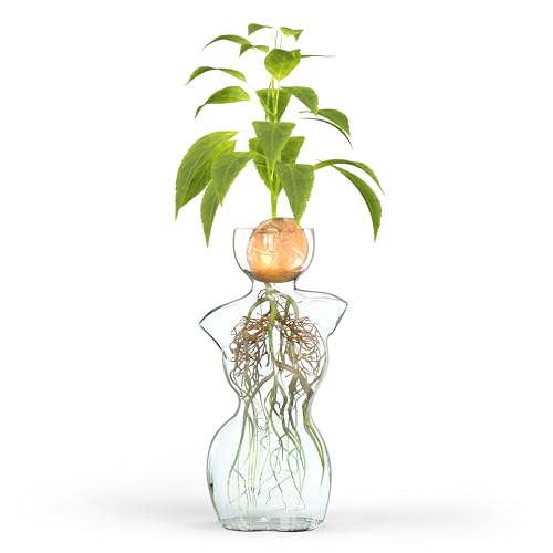 flysclean Jarrón de Cristal para propagación de Flores o Plantas en diseño único de Forma de Cuerpo Femenino, Ideal para enraizamiento de Agua, bulbos, Plantas, Semillas, decoración artística de