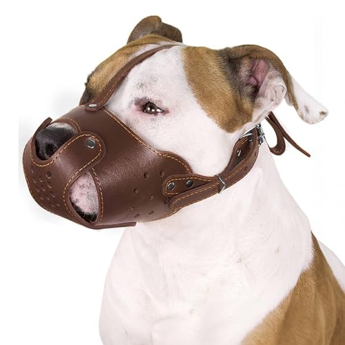 CollarDirect Muselière pour Chien Pitbull Amstaff Panier en Cuir véritable Staffordshire Terrier Marron Chocolat