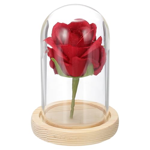 QUARKZMAN Campana di Vetro Display, 12 x 7 cm Campana di Vetro con Base in Legno per Decorazione Casa Ufficio Matrimonio Feste, Naturale