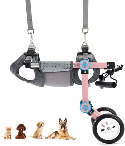 How do dogs in wheelchairs poop