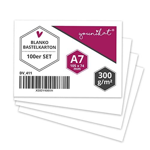 Lernkartei-Kasten Blau Mit 200 Blanko-Lernkarten DIN A8 Kaufen