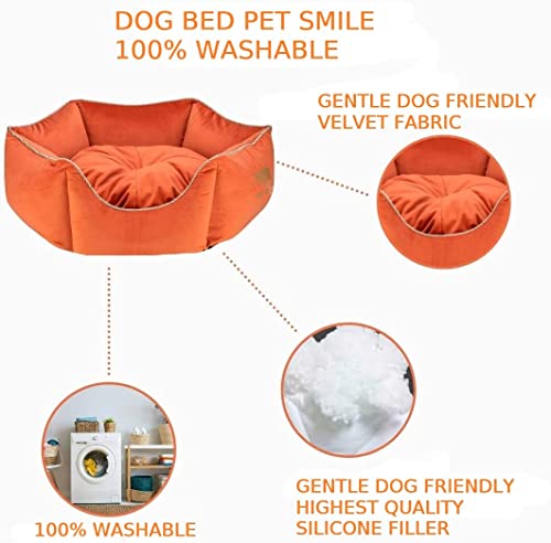 Image of PetLux Velvet Pet Smile Super Soft Reversible Bed for Indoor Cats, Dog Bed for Puppy and Kitty Round Bed, Sofa Basket for a Dog & Cat | Pet Bed with Pillow (S, Orange)