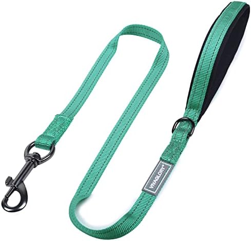 Vivaglory Dog Lead with Padded Handle, Heavy Duty Reflective 5ft Nylon Dog Training Walking Lead Leash for Small & Medium Dogs, Black
