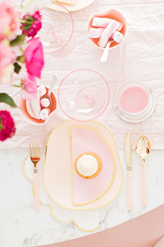 Sugar & Cloth 9 Inch Semi Circle Paper Plate, Pink With Gold Edge, 16 Count #TOP4